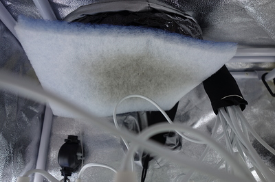 Ein Aktivkohlefilter mit weißem Vlies und blauen Akzenten, der in einer Growbox hängt. Kabel und Schläuche sind sichtbar.