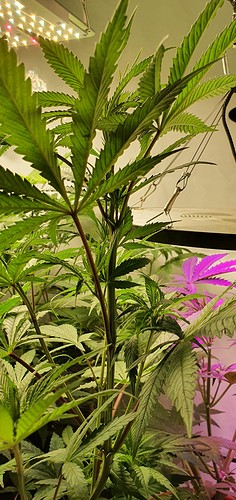 Growreport Bild 5
