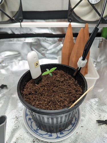 Growreport Bild 23