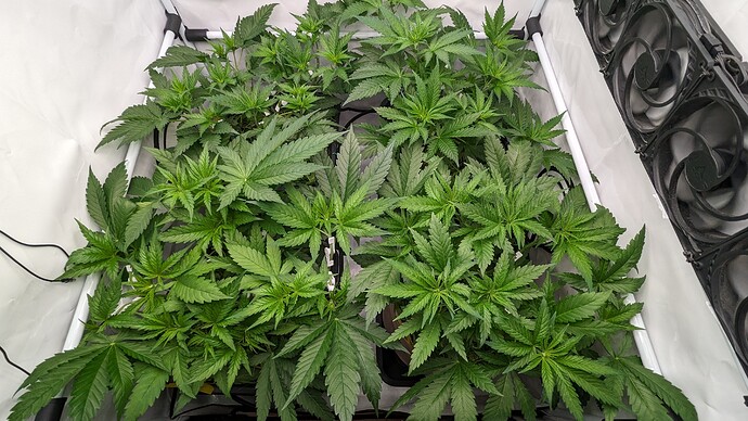 PXL_20230908_175216423