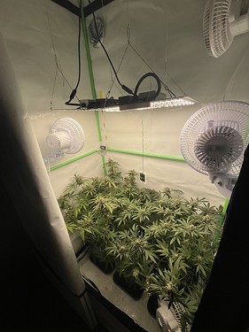 Growreport Bild 1