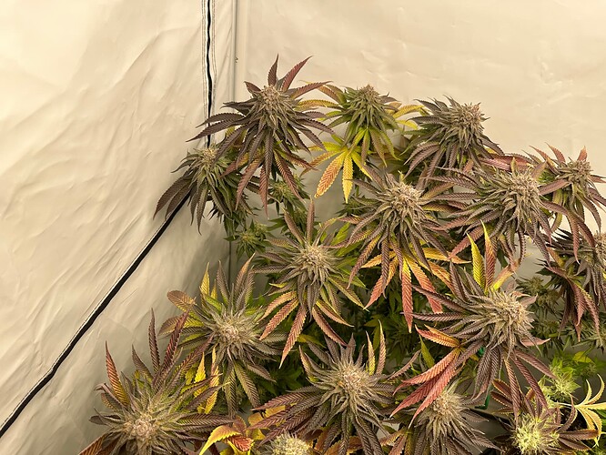 Growreport Bild 17