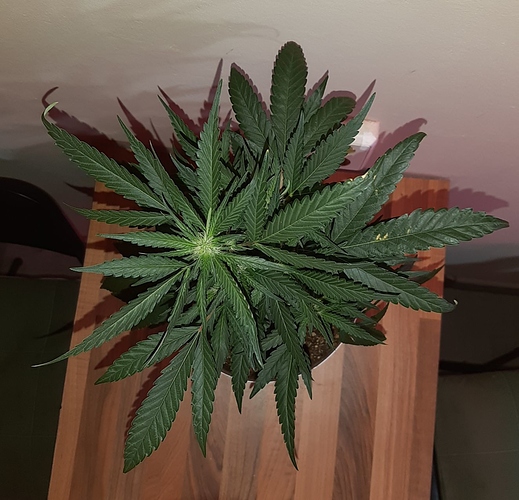 Growreport Bild 14