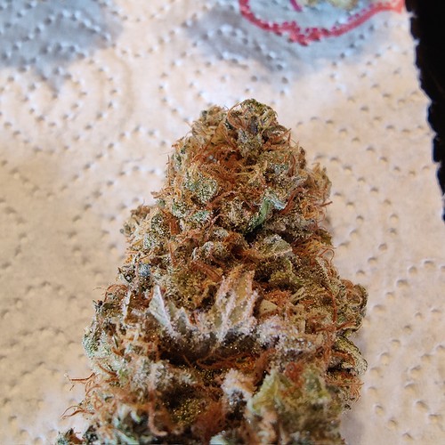 Growreport Bild 55