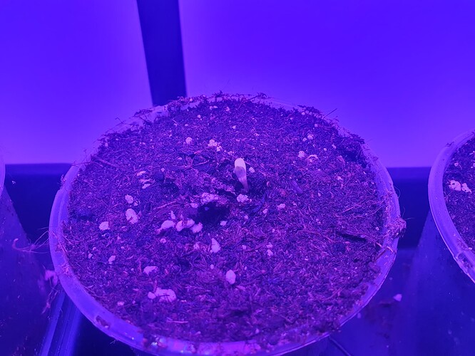 20231014_091105 - Kopie