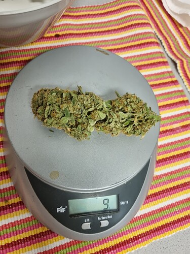 Growreport Bild 5