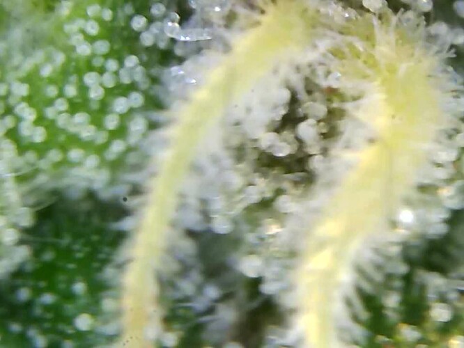 Growreport Bild 17