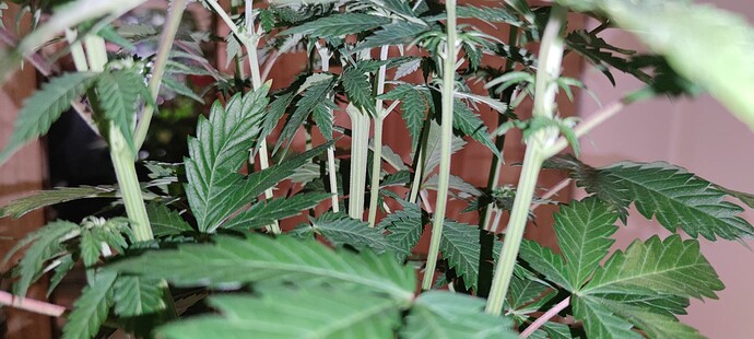 Growreport Bild 5