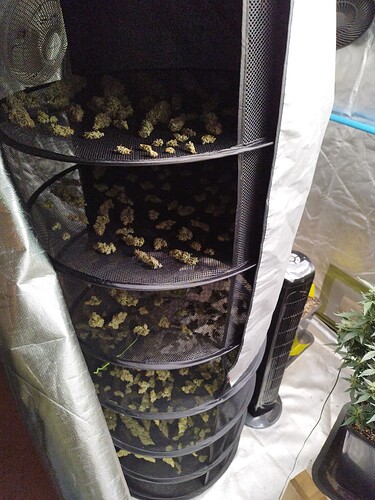 Growreport Bild 4