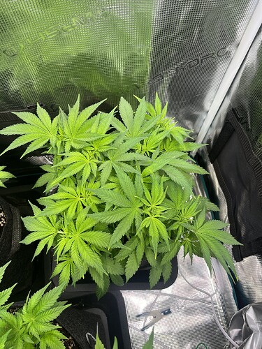 Growreport Bild 10