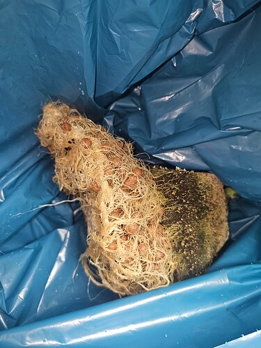 Growreport Bild 8