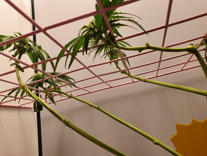 Growreport Bild 5