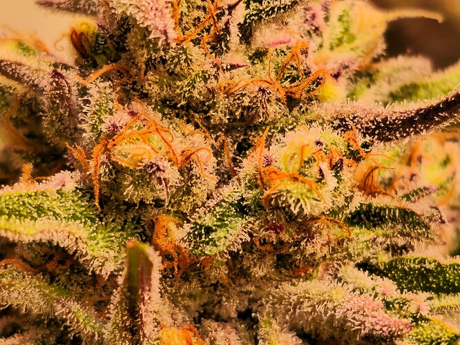 Growreport Bild 23