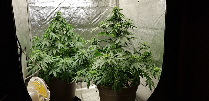 Growreport Bild 8