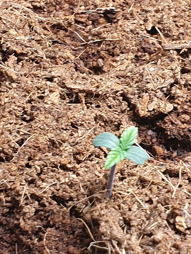 Growreport Bild 11