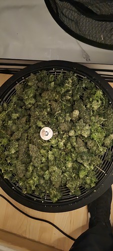 Growreport Bild 6