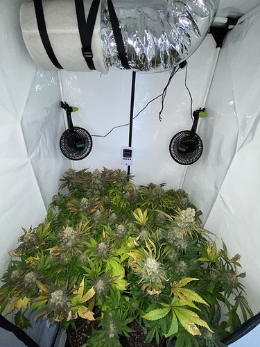 Growreport Bild 7