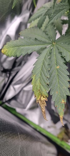 Growreport Bild 17