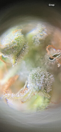 Growreport Bild 12
