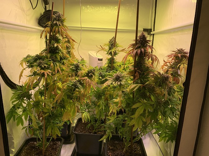 Growreport Bild 5