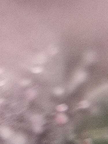 Growreport Bild 18
