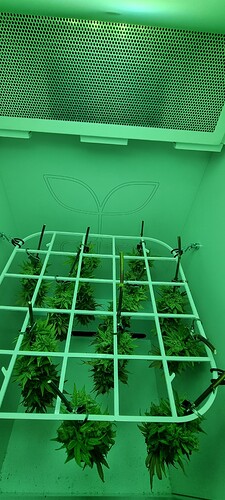 Growreport Bild 17