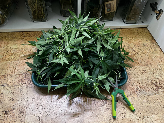 Growreport Bild 10