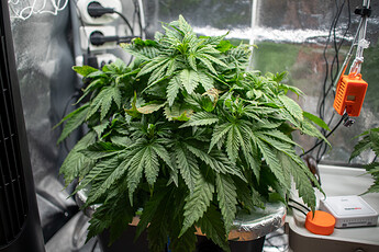 Growreport Bild 21