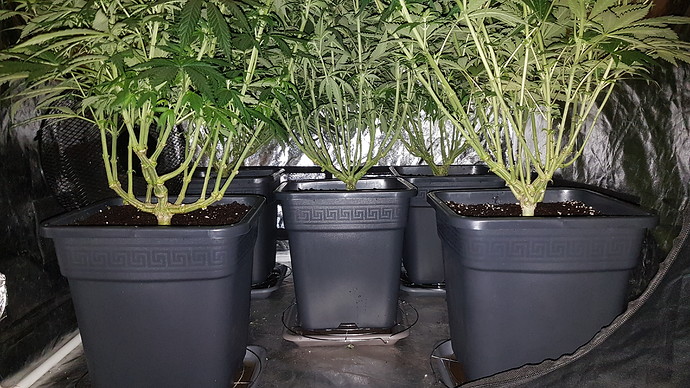 Growreport Bild 12