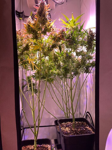 Growreport Bild 9