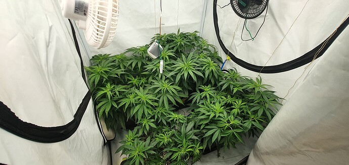 Growreport Bild 1