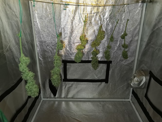 Growreport Bild 22