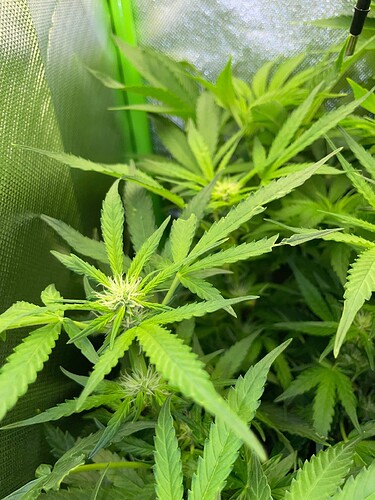 Growreport Bild 11