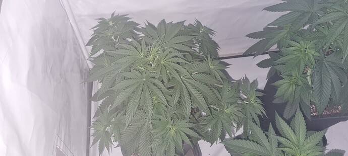 Growreport Bild 20