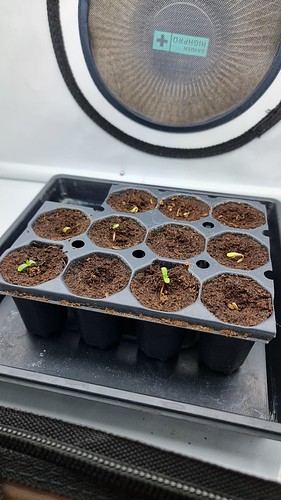 Growreport Bild 10