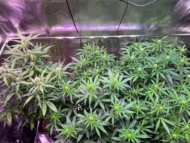 Growreport Bild 10
