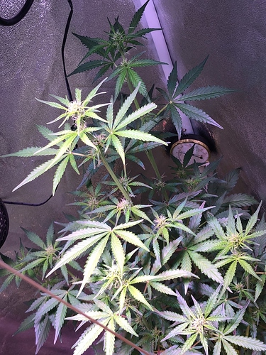 Growreport Bild 10
