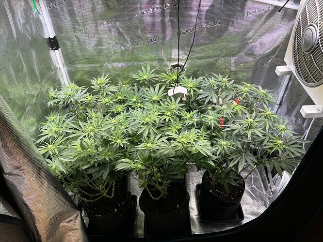 Growreport Bild 4