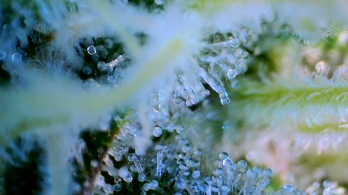 Growreport Bild 15