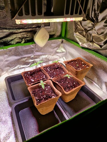Growreport Bild 12
