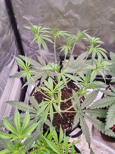 Growreport Bild 16