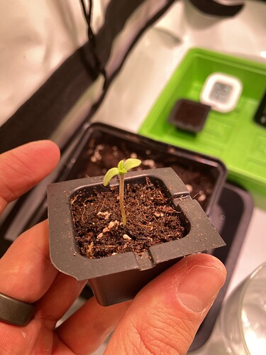 Growreport Bild 15