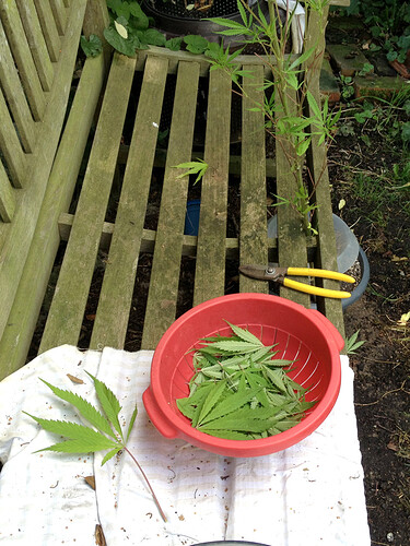Growreport Bild 10