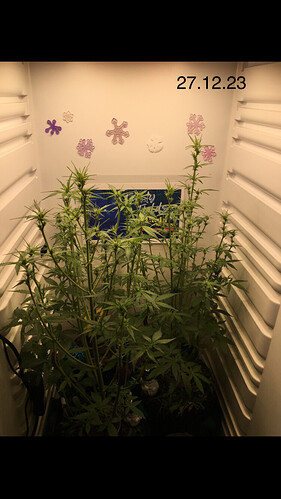Growreport Bild 11