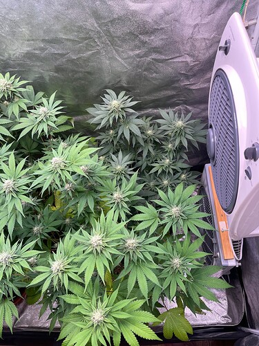 Growreport Bild 7