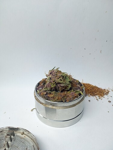 Growreport Bild 13
