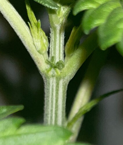 Growreport Bild 22
