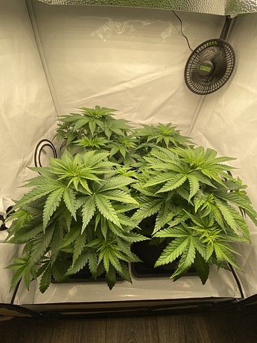 Growreport Bild 11
