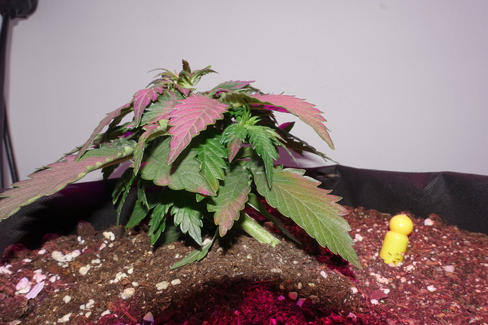 Growreport Bild 11