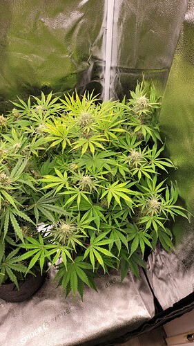 Growreport Bild 4